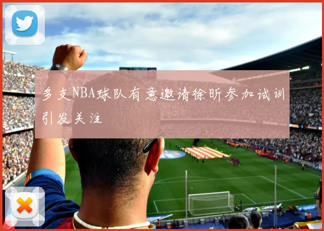 多支NBA球队有意邀请徐昕参加试训引发关注